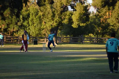 DSC_2398 (Large).JPG